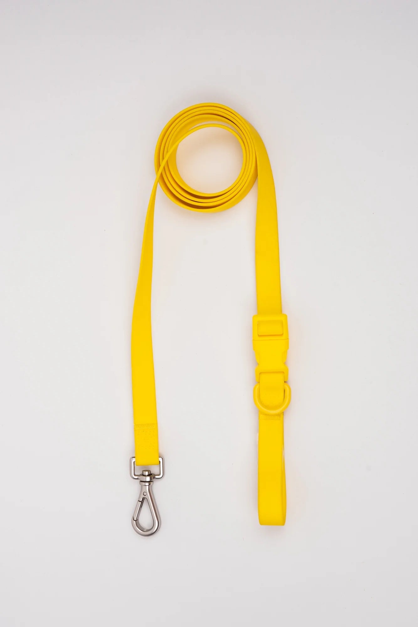 Correa Terrier - Amarillo