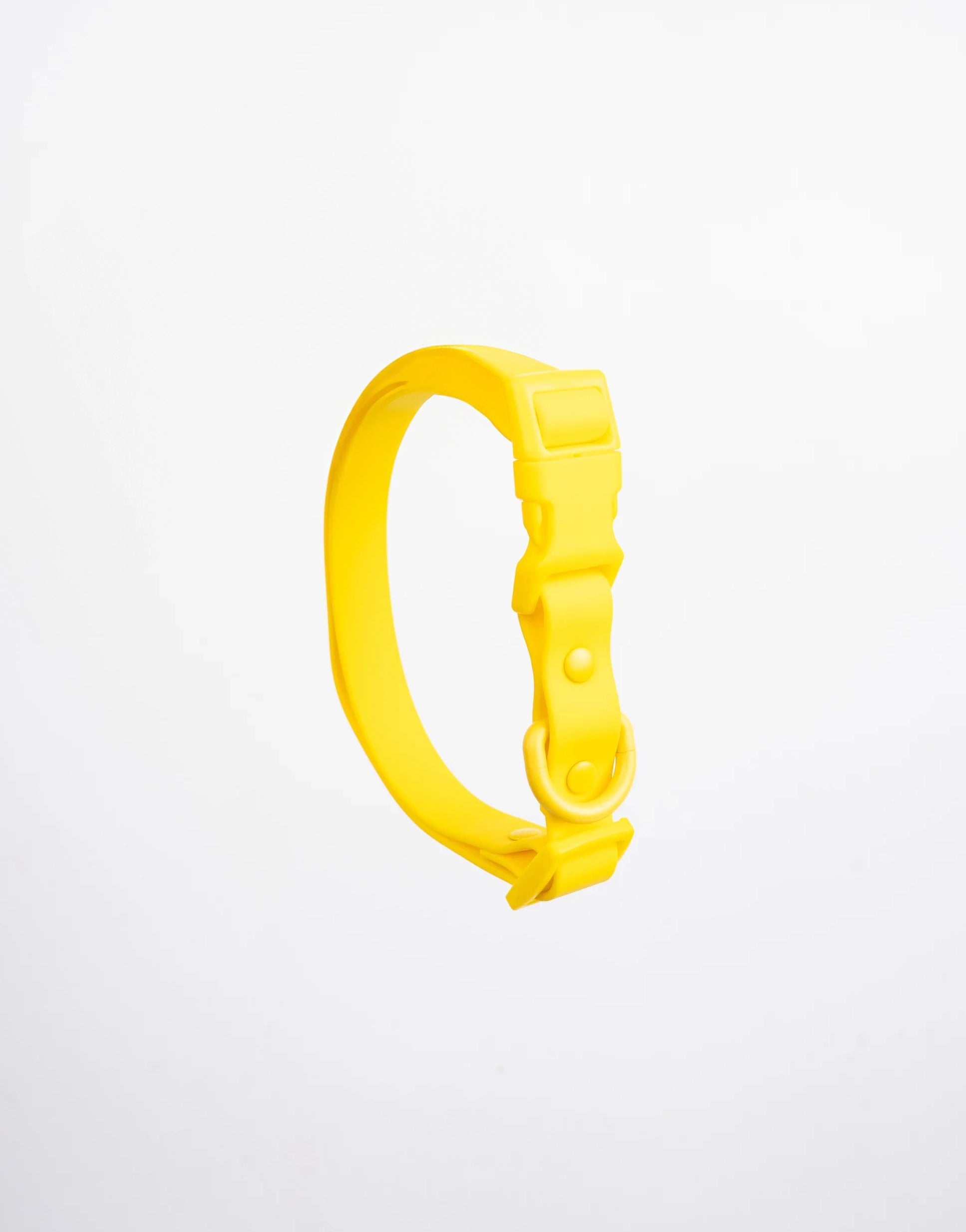 Collar Terrier - Amarillo