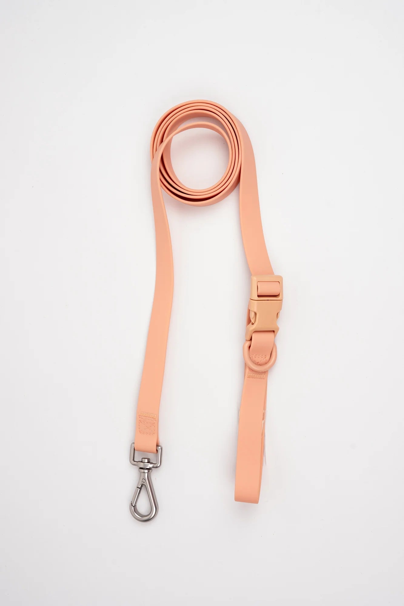 Correa Terrier - Palo Rosa