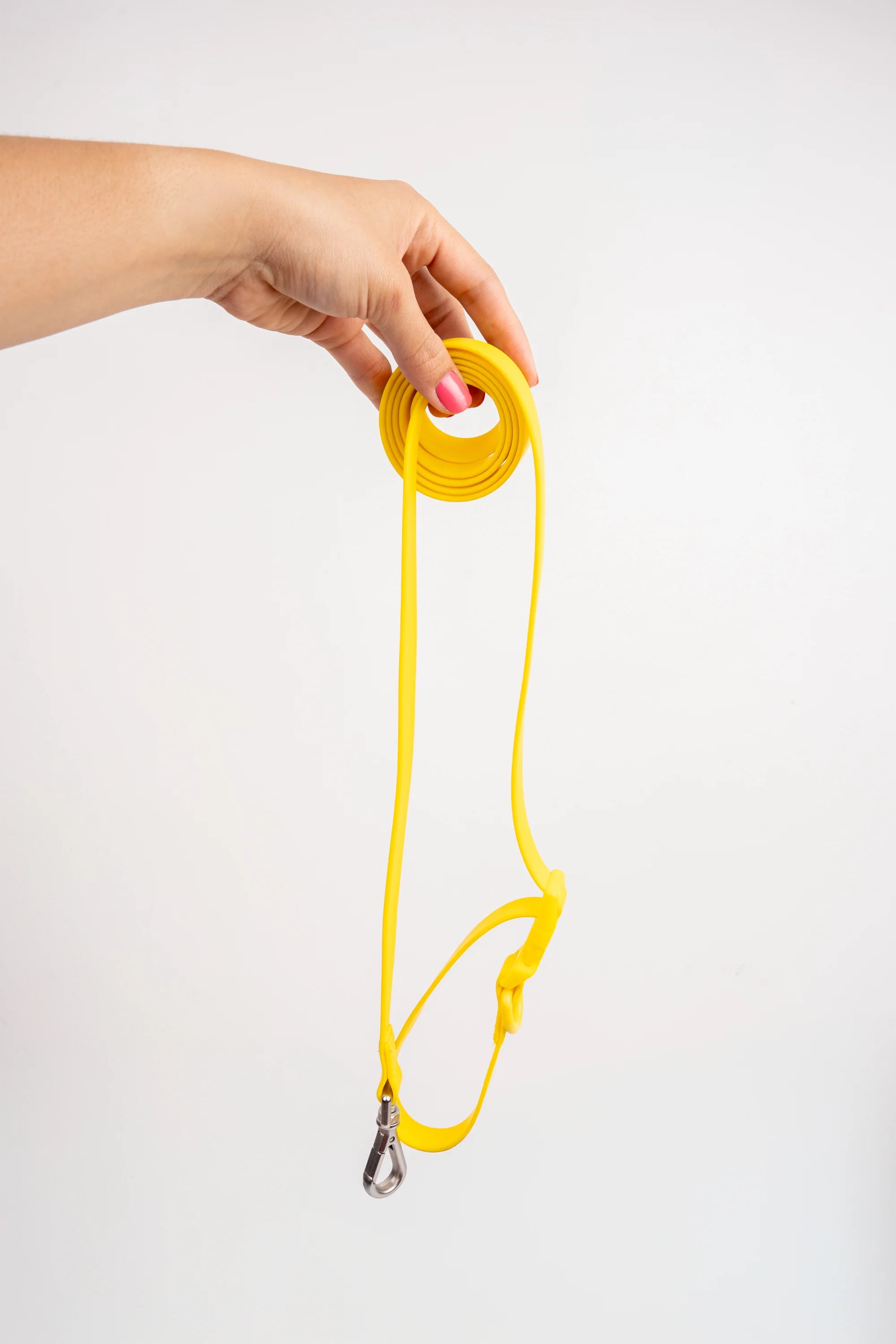 Correa Terrier - Amarillo