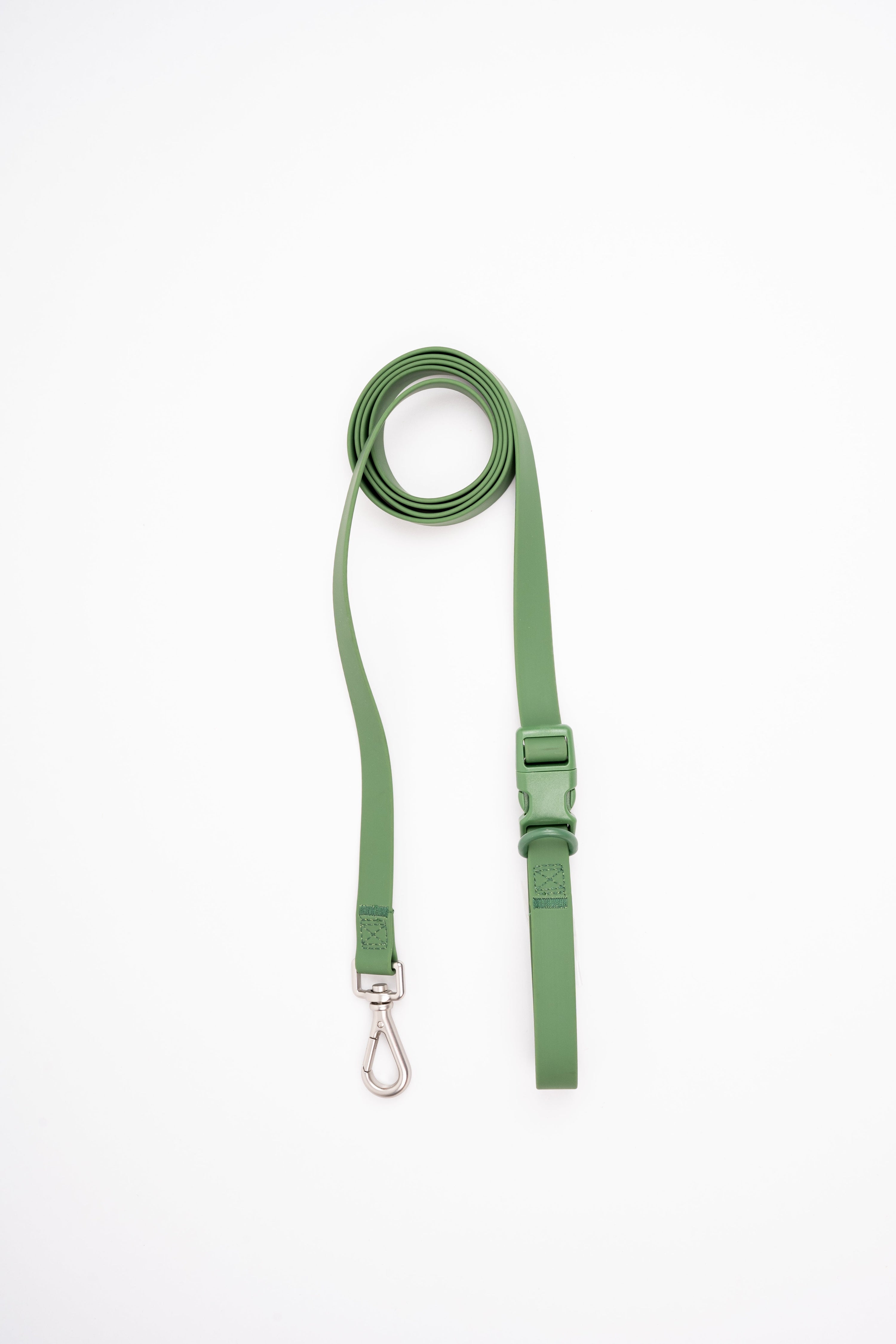 Correa Terrier - verde