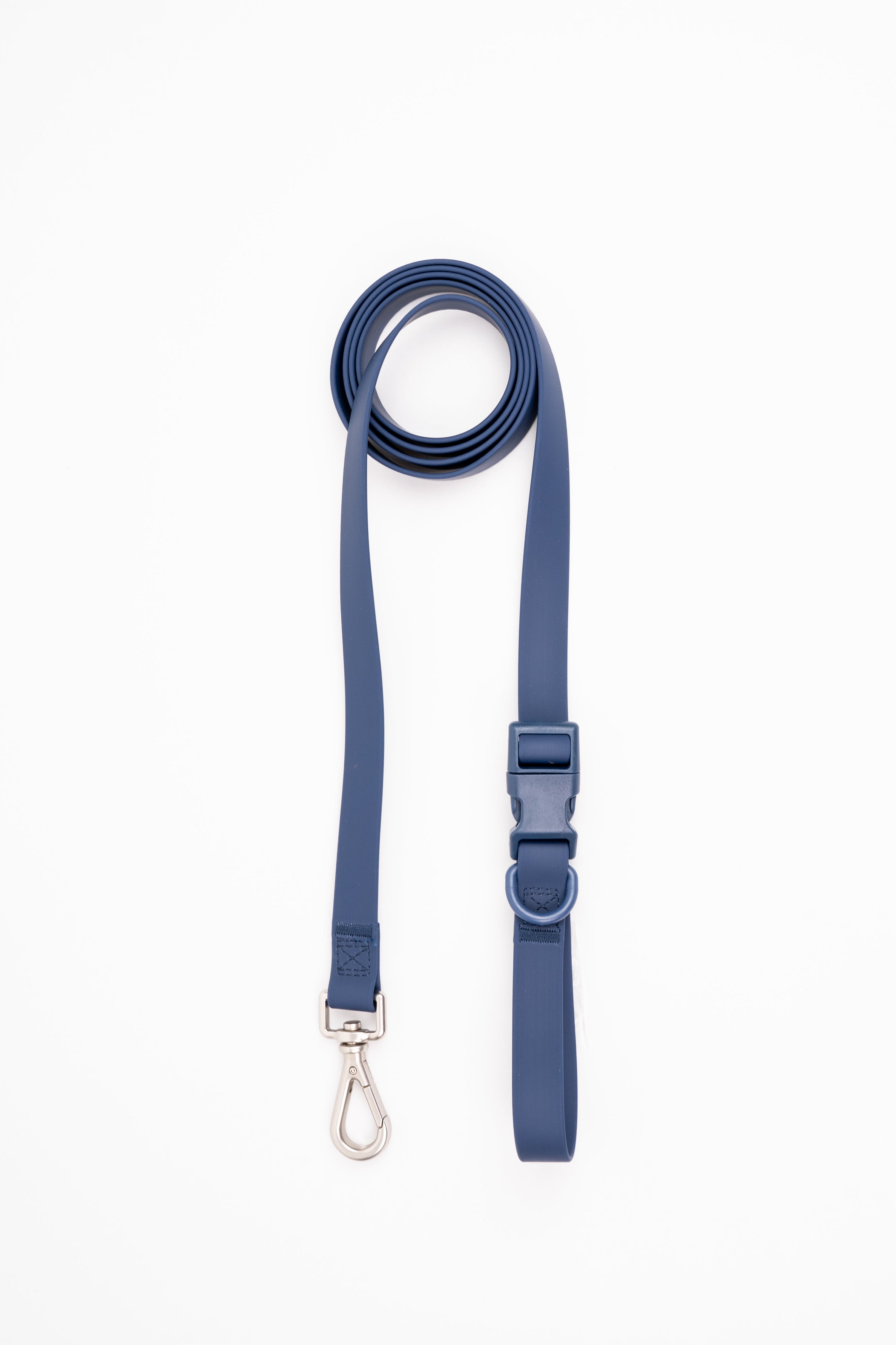 Correa terrier - azul