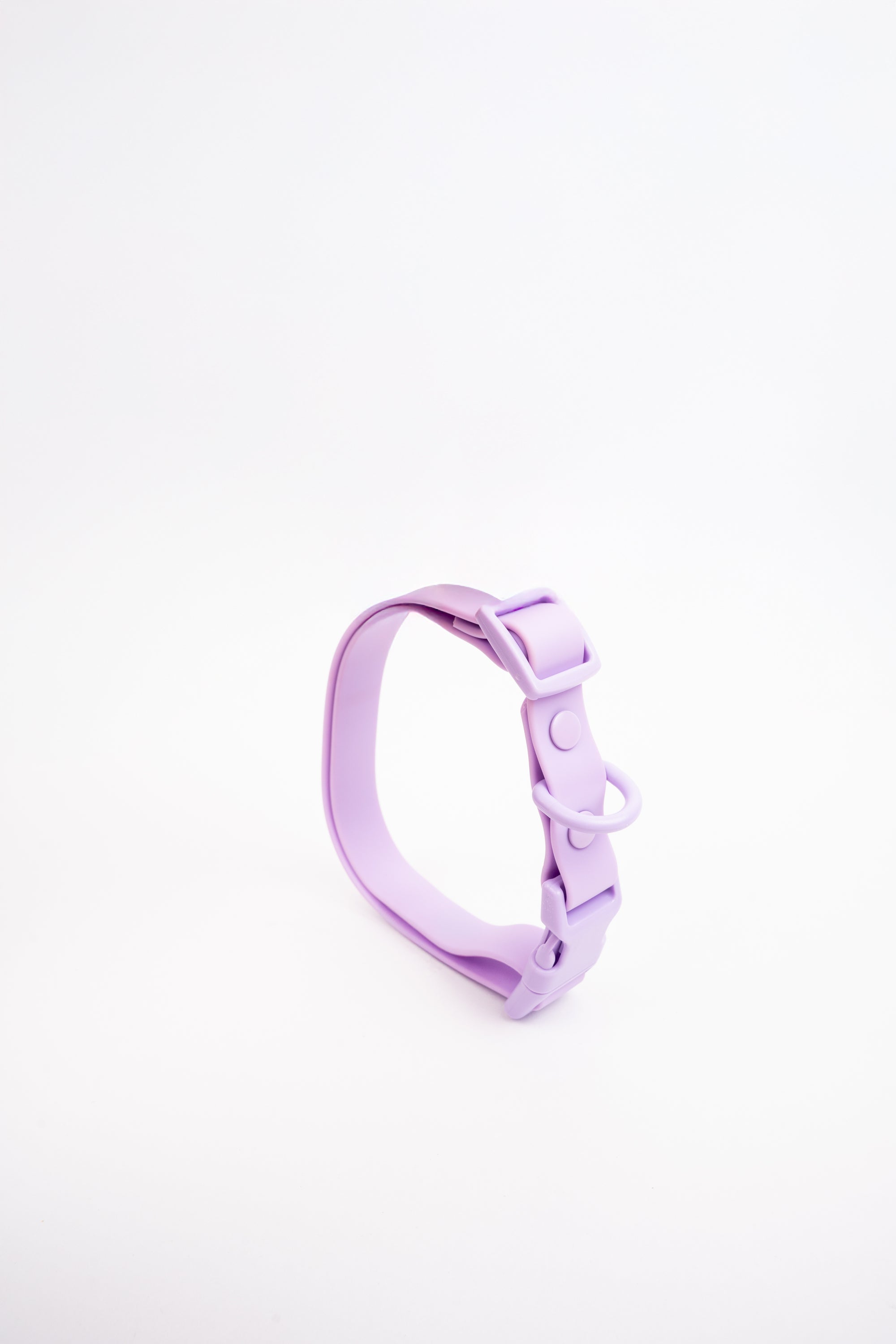 Collar terrier - Lila