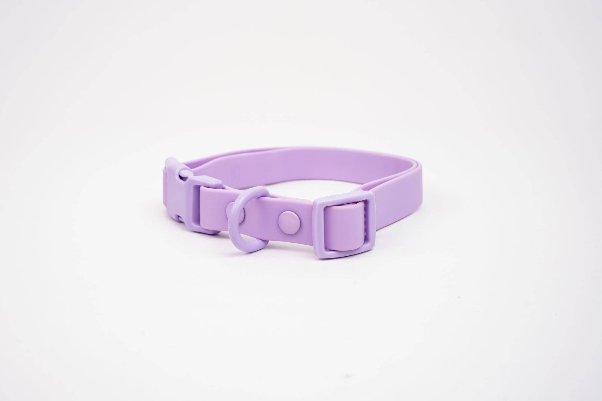 Collar terrier - Lila