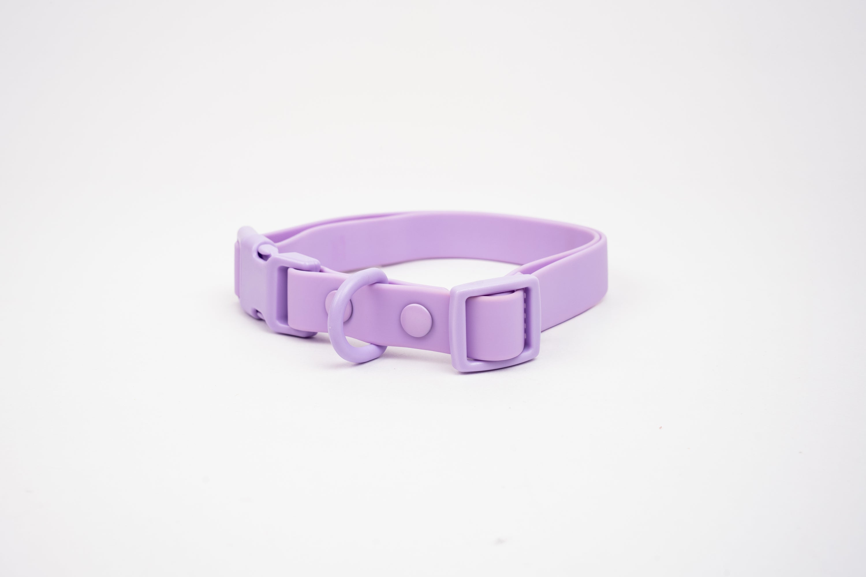 Collar terrier - Lila