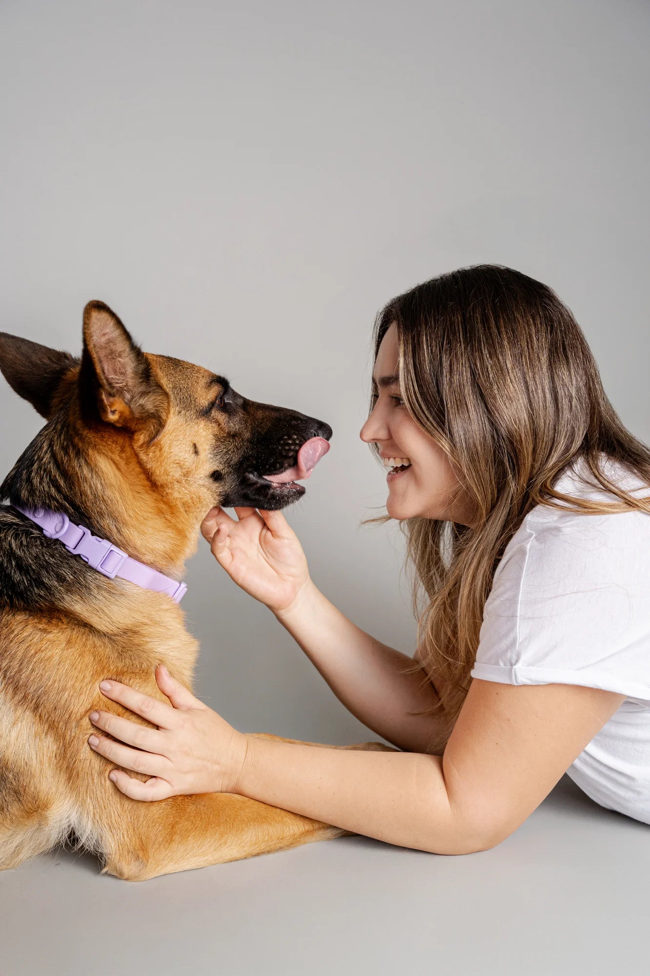 Collar terrier - Lila