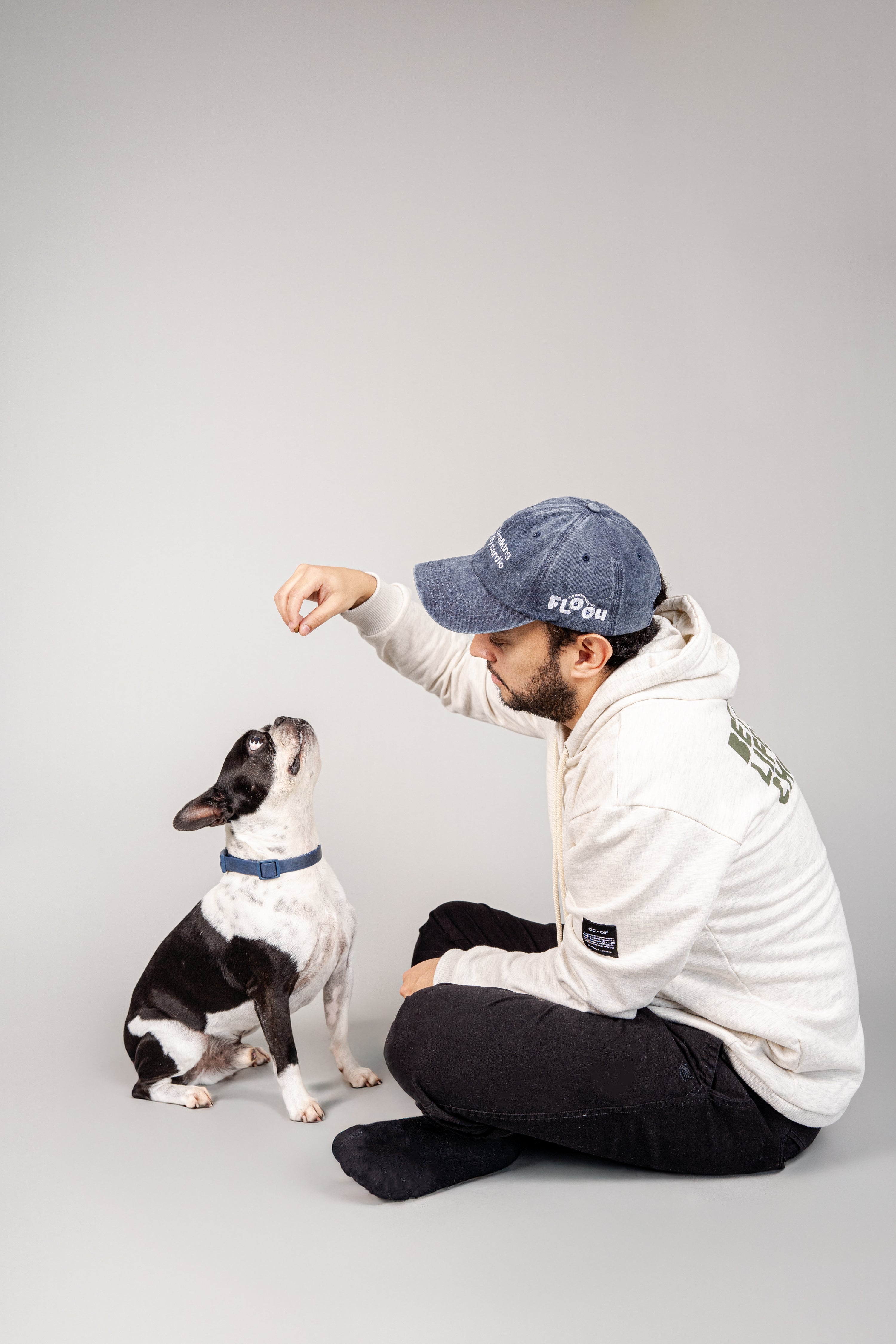 Collar Terrier - Azul