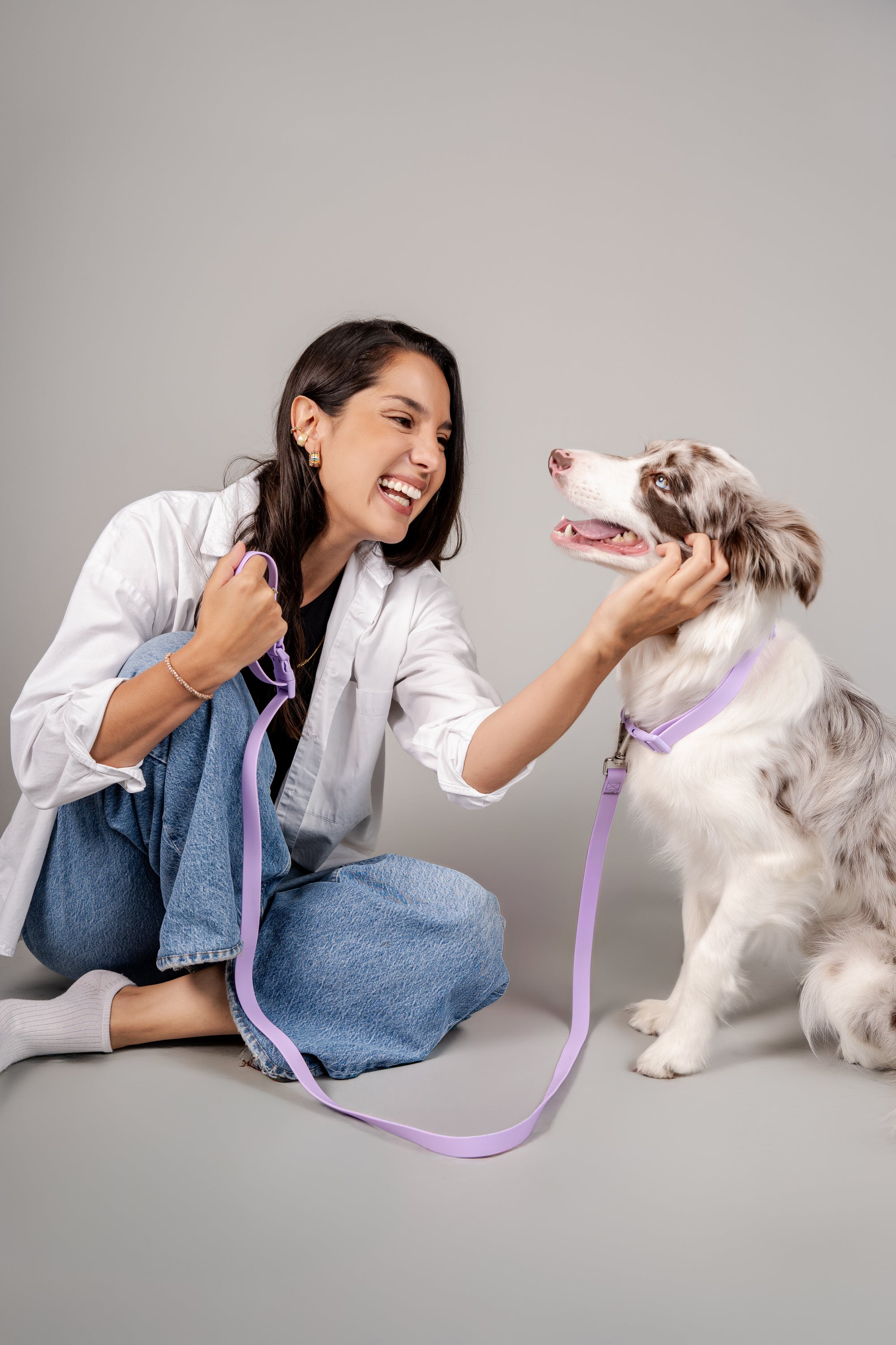 Correa para Perro Terrier Color Lila - Floou Colombia