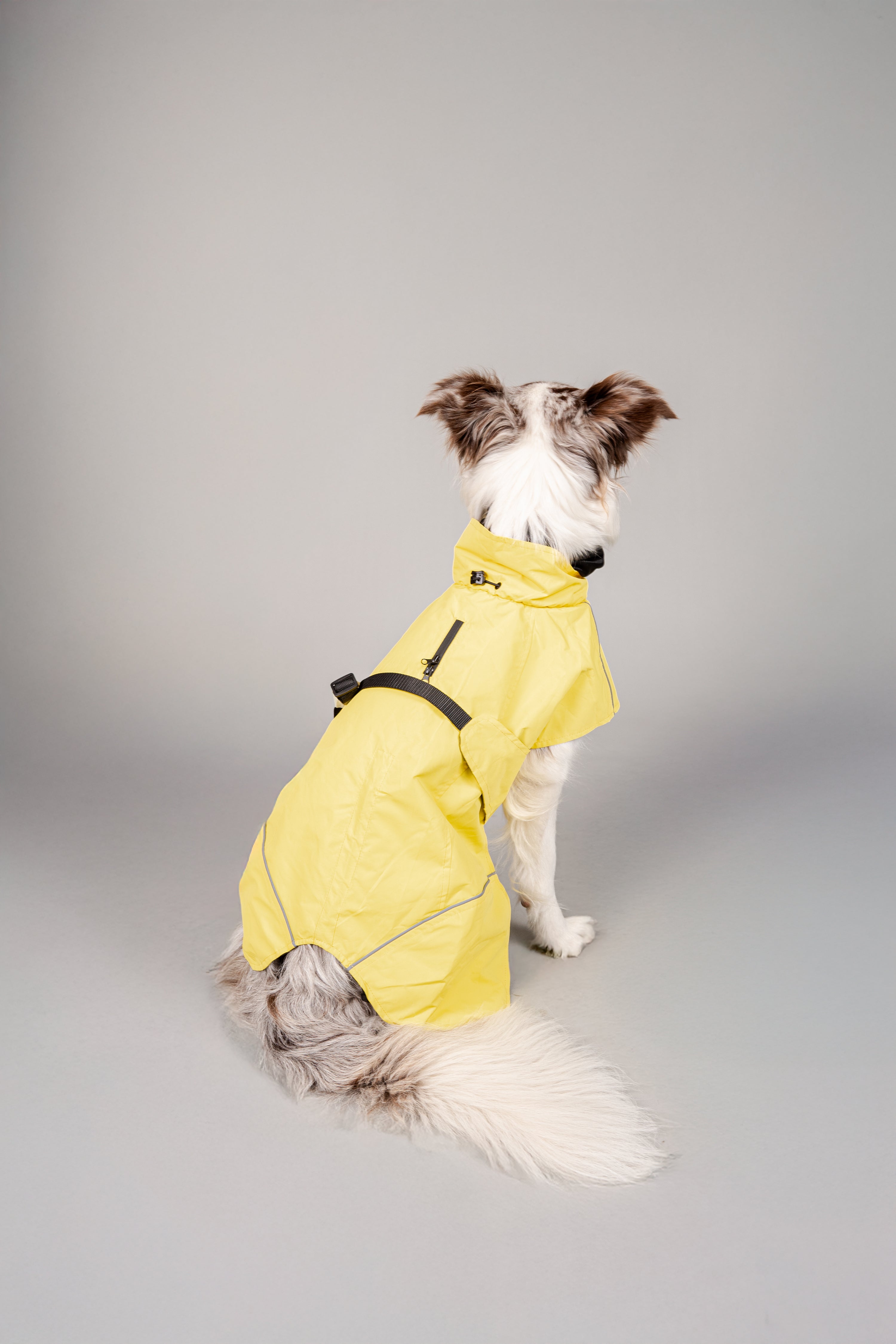 Impermeable Retriever Amarillo