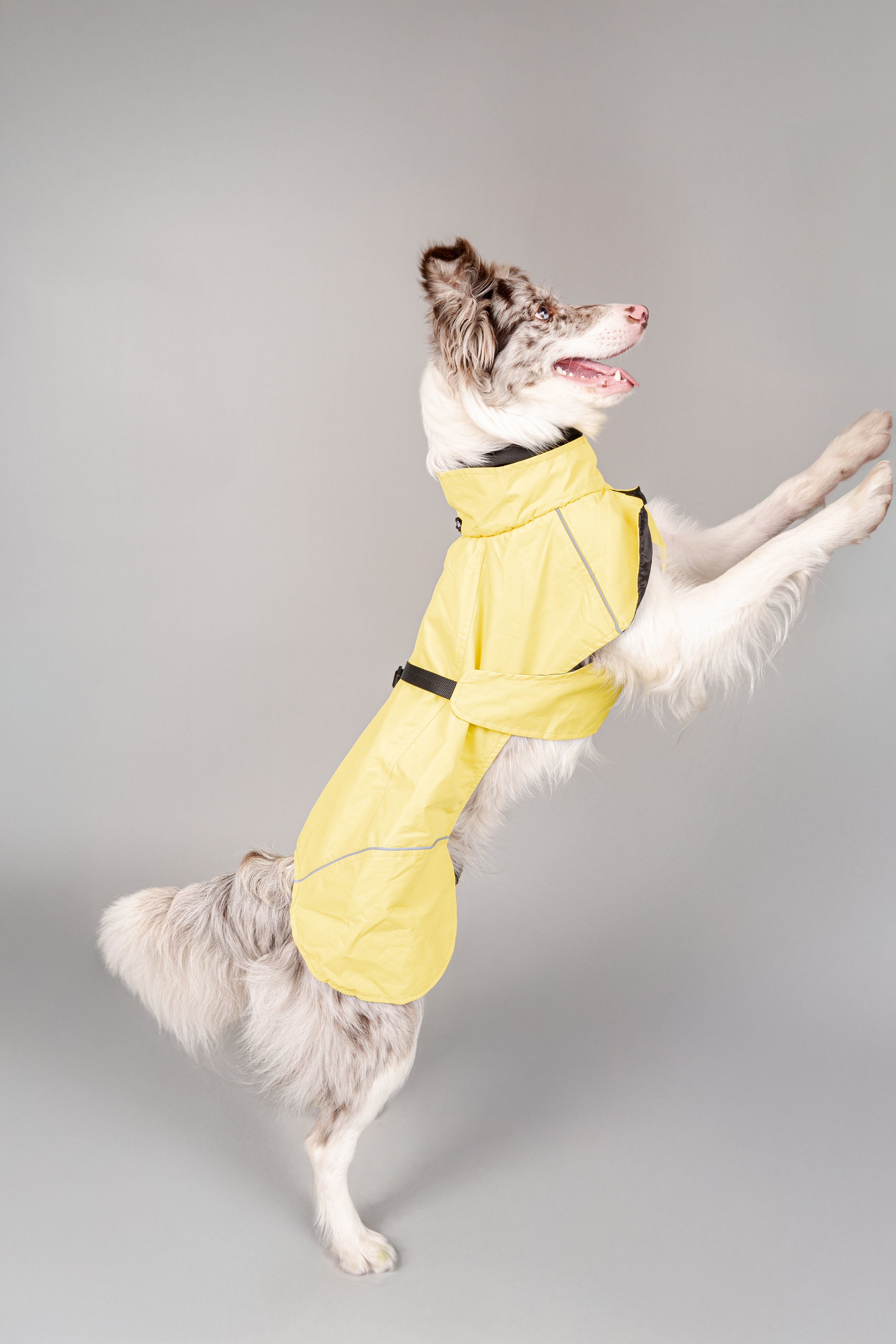 Impermeable Retriever Amarillo