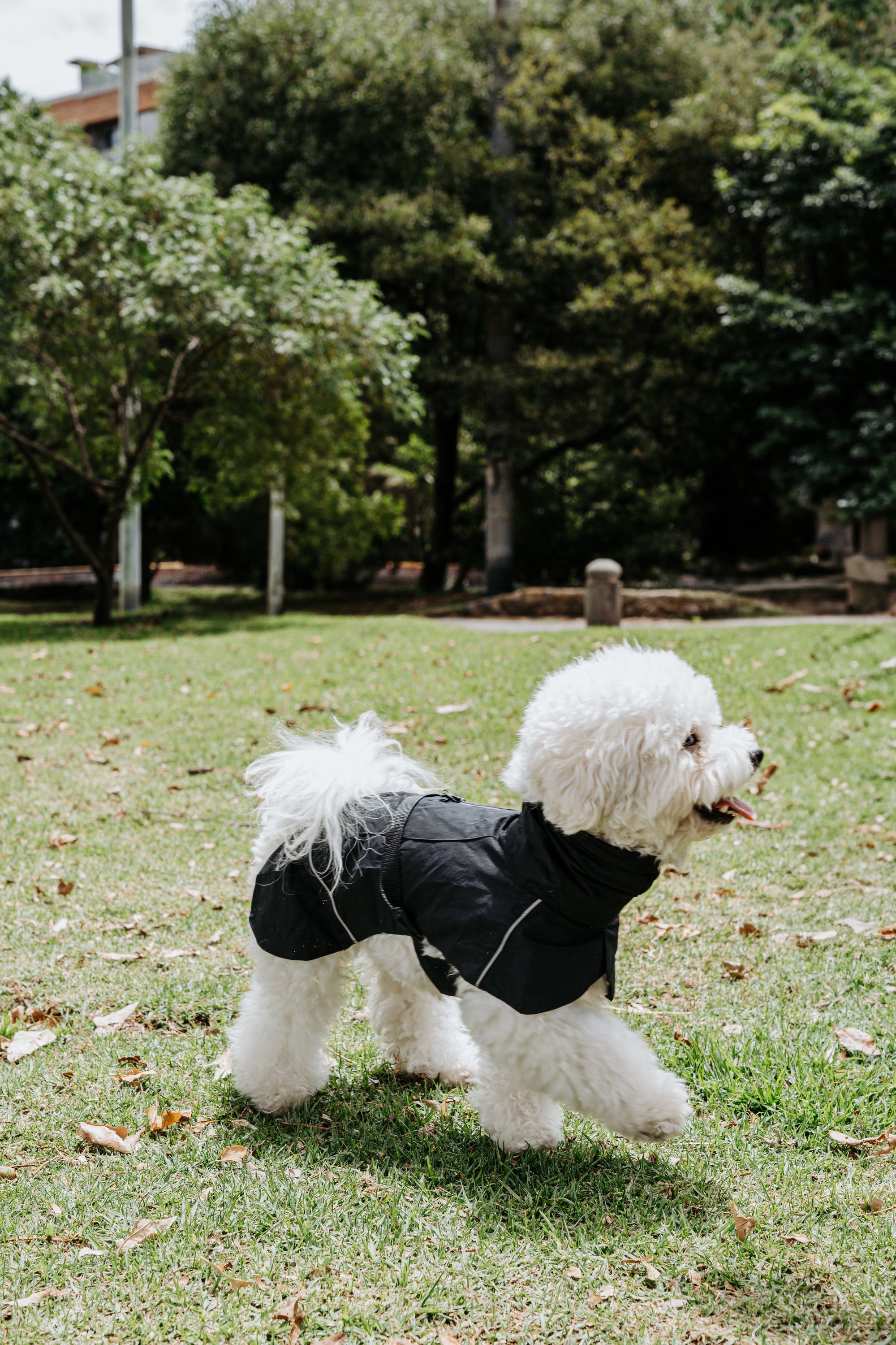 Impermeable Retriever Negro