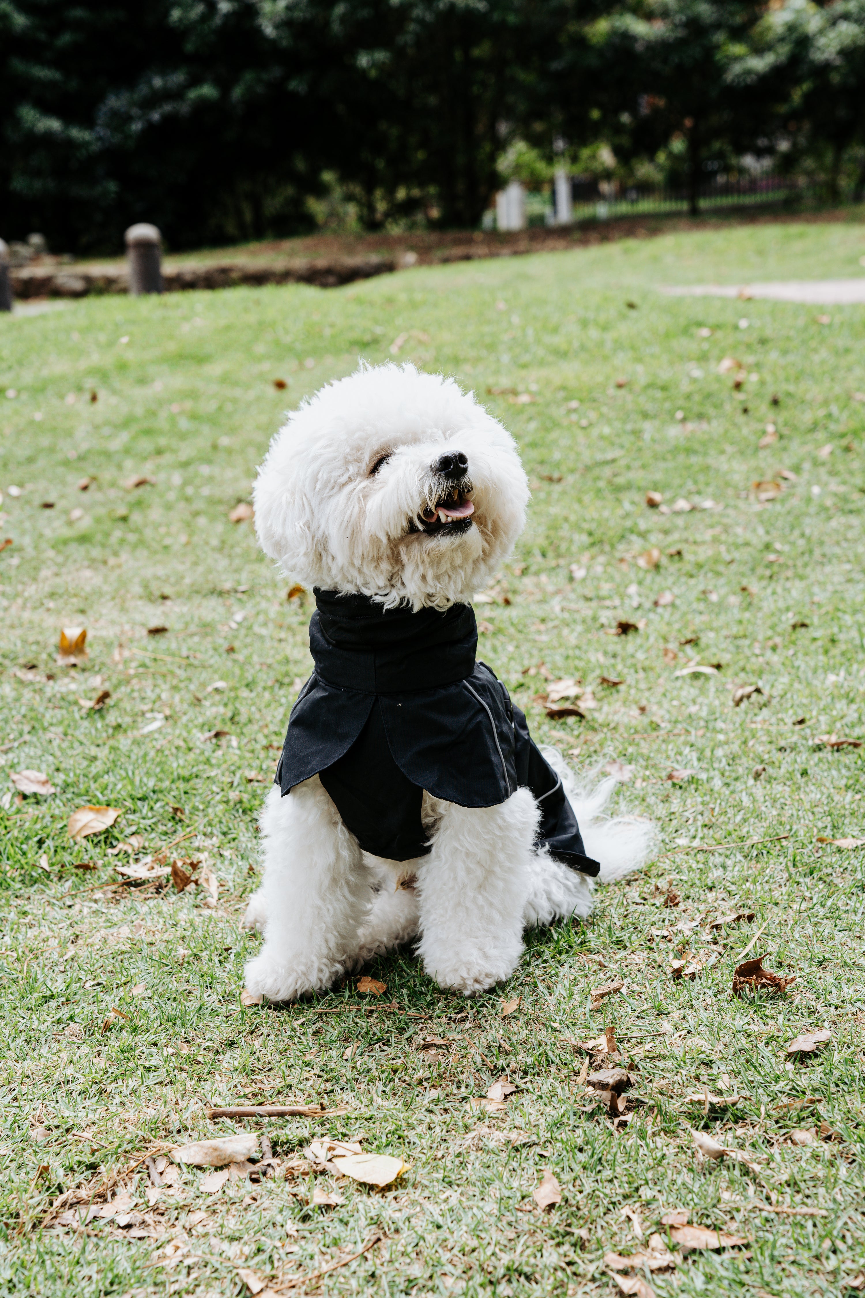 Impermeable Retriever Negro