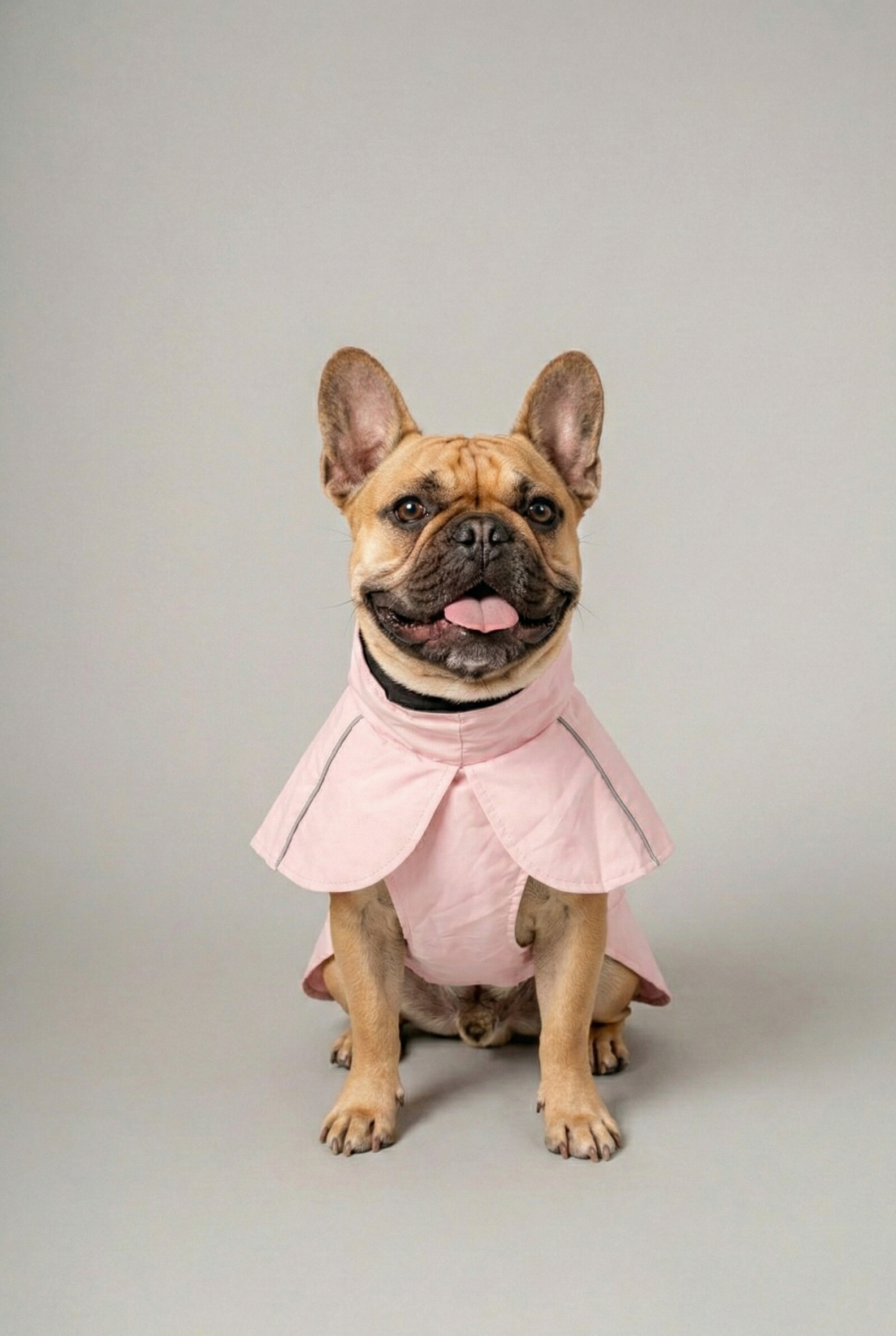 Impermeable para perro color rosado - Floou Colombia