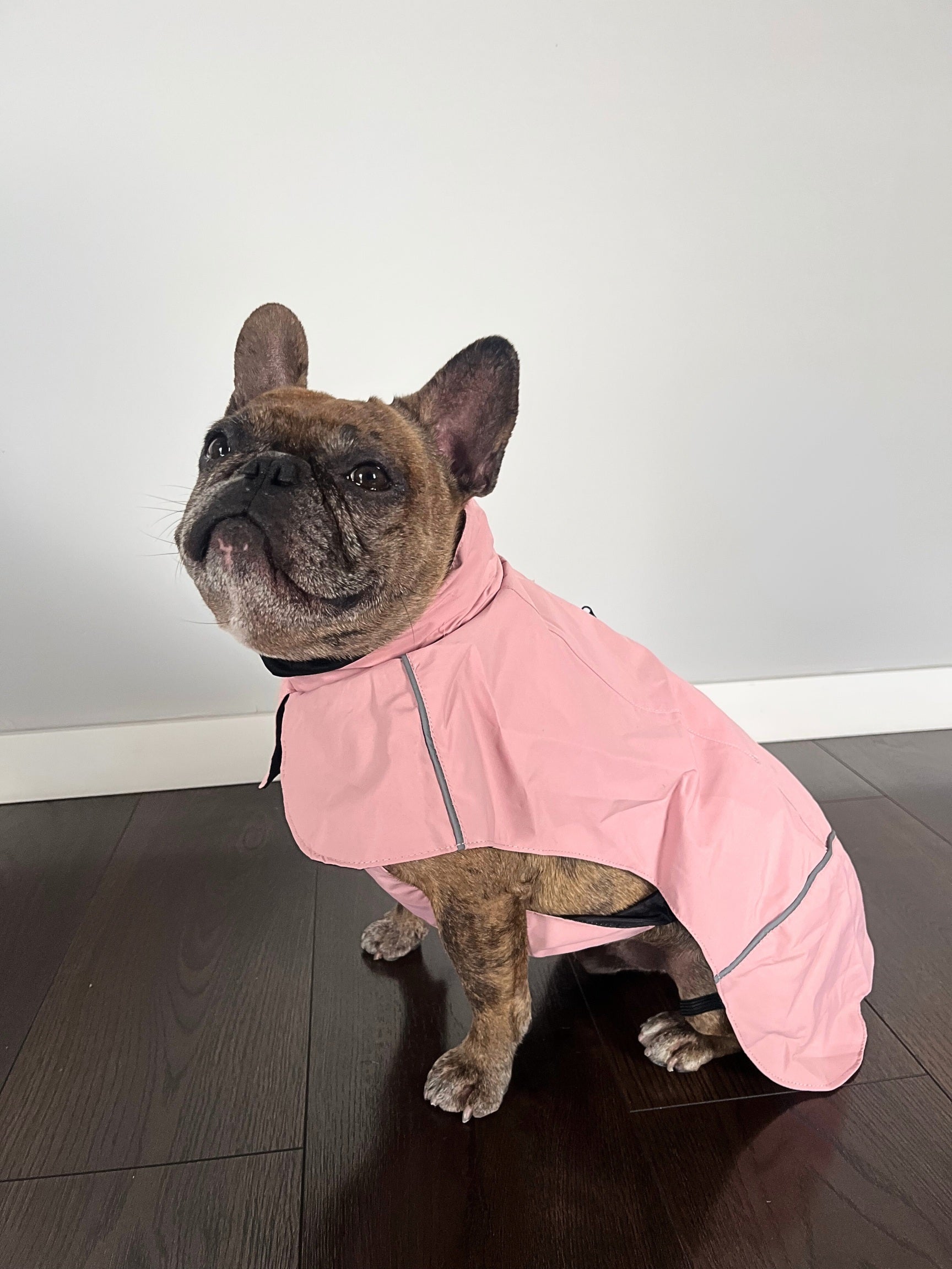 Impermeable Retriever - Rosa